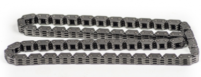 Цепь ГРМ L=100 169FML (CB200)