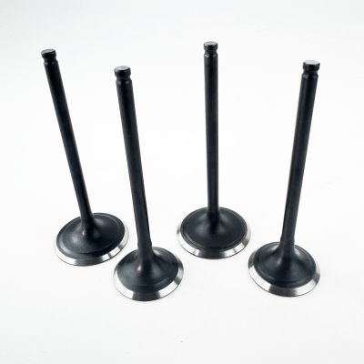 Клапаны ГРМ (компл=4шт) LX176MN YBS300