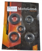 Набор сальников Скутер AD50