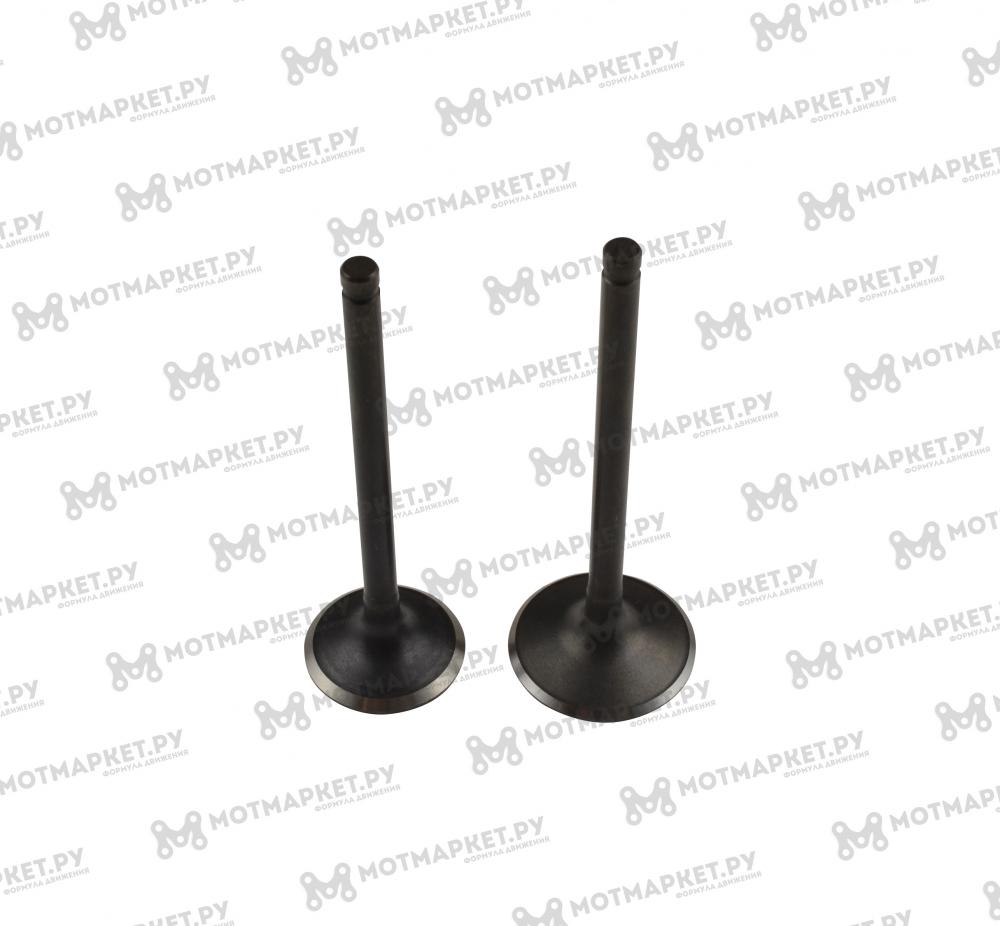 Клапаны ГРМ (компл=2шт) 172FMM-3A (CB250-F) купить в интернет-магазине ...