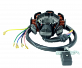 Статор (8 кат.) 167FML-3 (CG200D-B)