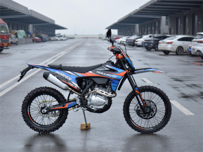 Мотоцикл Regulmoto Norden 300