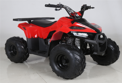 Квадроцикл MUDHAWK 110