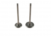 Клапаны ГРМ (компл=2шт) 163FML (CG200-A)