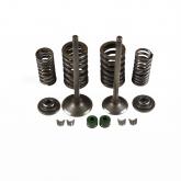 Клапаны ГРМ (полный комлект) 163FML-2(CB200-C)165FML(CBB200)165FMM(CB250D-G)165FMM(CBB250)