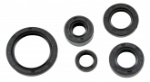 Набор сальников YX-W160