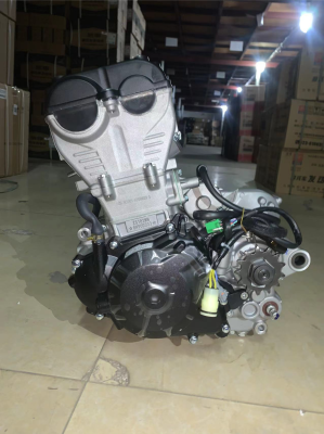 Двигатель в сборе  ZS182MN (NC300S) 300см3, (вод. охл., электростартер,2 распредвала, 6 скоростей)