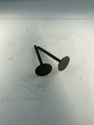 Клапаны впуск+выпуск YX1P60FMK 160см3 (YX-160) (d=23/28)