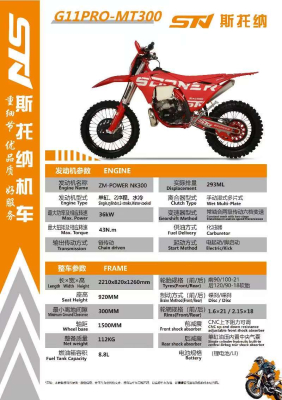 Мотоцикл STN G11 300 2T PRO (без прогрессии)