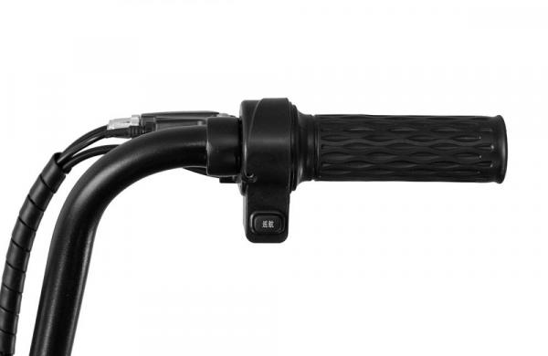 Электроскутер Regulmoto SAIGE 350W 48V12AH