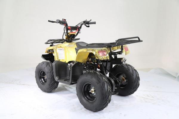 Квадроцикл Motoland 110 RIDER