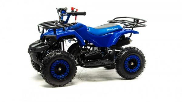 Квадроцикл Motoland 50 SCORPION