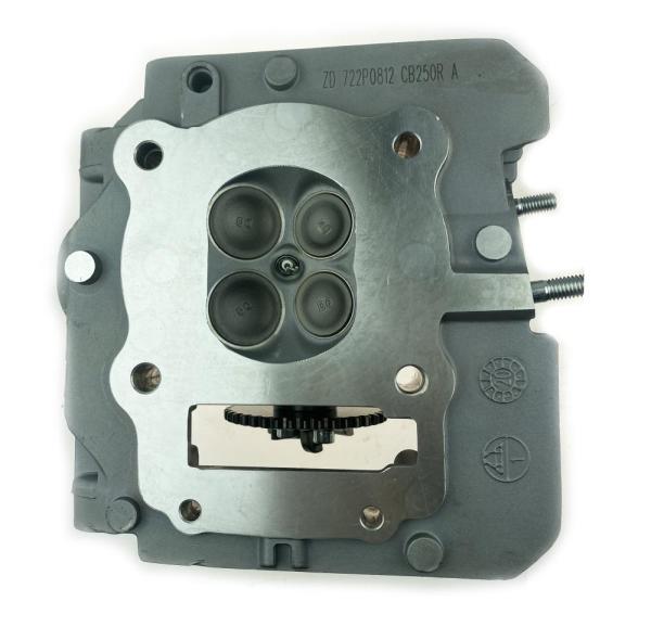 ГБЦ (головка) в сборе 172FMM-3A  (CB250-F), CB250R, PR-5 (4 клапана) Zongshen