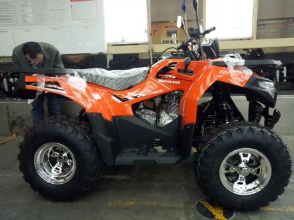 Квадроцикл Motoland 200 MAX
