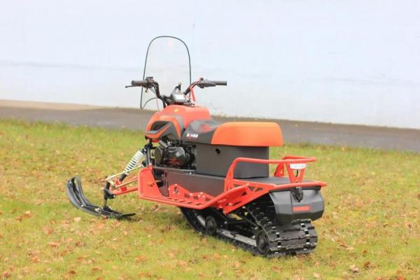 Снегоход Irbis Dingo T150