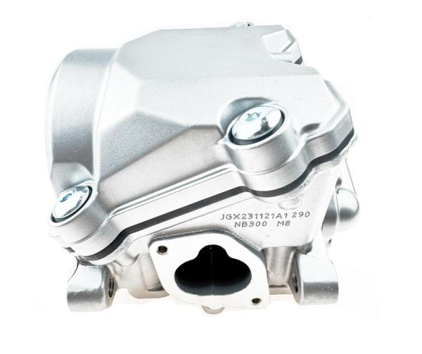 ГБЦ (головка) в сборе ZS174MN-5 (NB300)