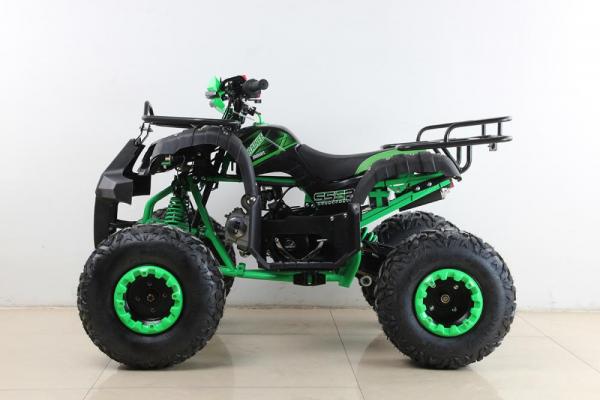 Квадроцикл SSSR TRAINEE 50e A 8/8 1