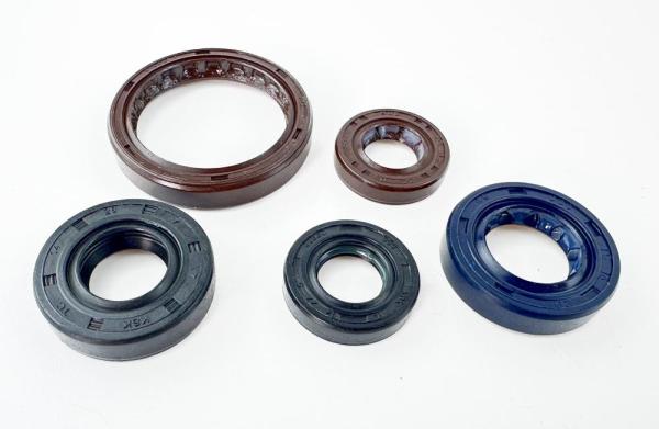 Набор сальников LX176MN YBS300