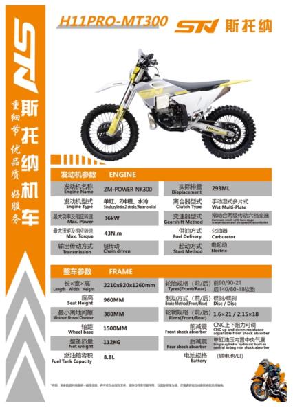 Мотоцикл STN H11 300 2T PRO (без прогрессии)