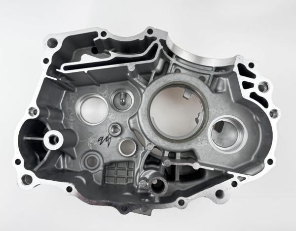 Картер левый LX176MN YBS300