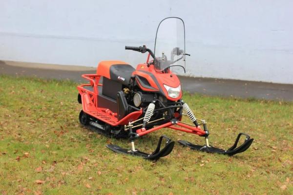Снегоход Irbis Dingo T150