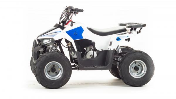 Квадроцикл Motoland 110 EAGLE