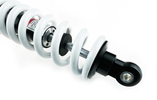 Амортизатор центральный L=320 TTR125 (1 шт)