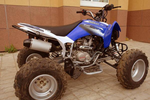 Квадроцикл Motoland ATV 250 S