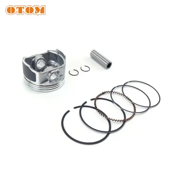 ЦПГ (поршневая) 165FMM, 166FMM (CB250D-G) d=65.5 (под цепь грм) OTOM