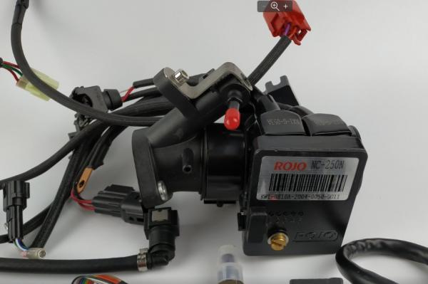 Инжектор (компл.) ROJO для ZS177MM(NC250-300)