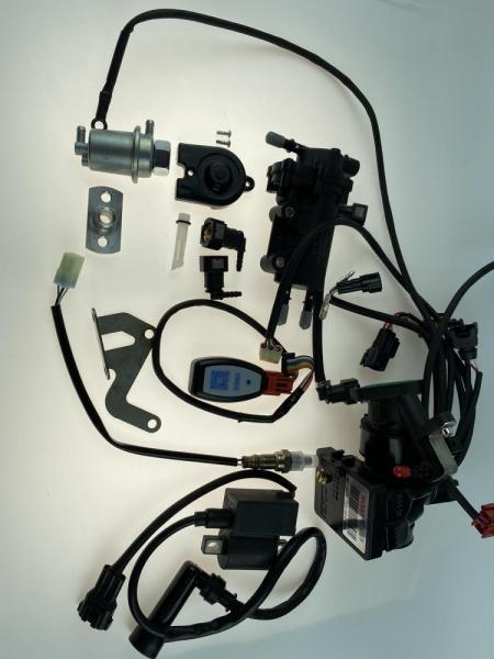 Инжектор (компл.) ROJO для ZS177MM(NC250-300)