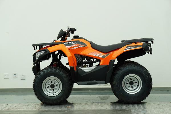 Квадроцикл Motoland 200 MAX