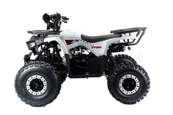 Квадроцикл Motoland 125 STORM