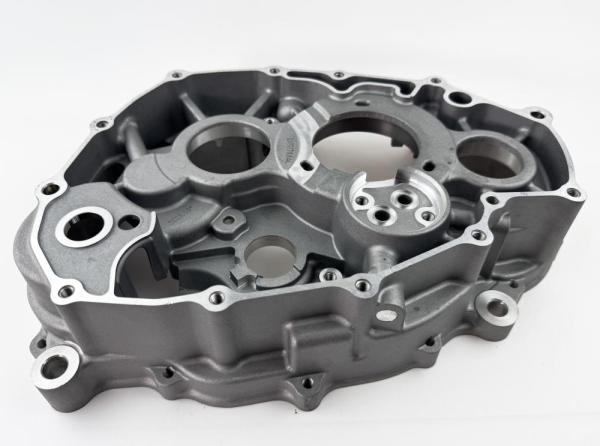 Картер правый LX176MN YBS300