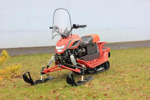 Снегоход Irbis Dingo T150