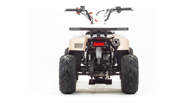 Квадроцикл Motoland 110 EAGLE