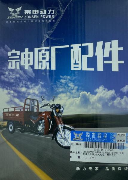 ЦПГ (поршневая) 172FMM (CB250-F) Ø75 mm (бигбор) Zongshen