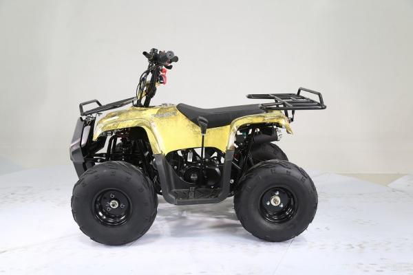 Квадроцикл Motoland 110 RIDER