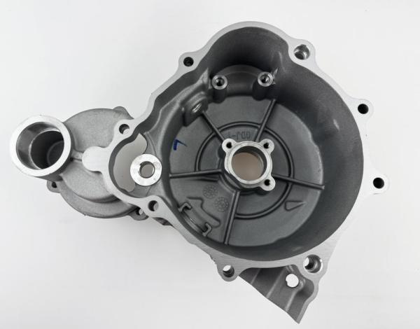 Крышка картера левая LX176MN YBS300