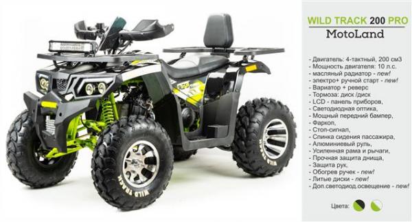 Квадроцикл Motoland 200 WILD TRACK PRO