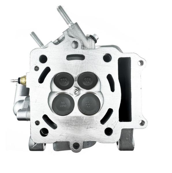 ГБЦ (головка) в сборе ZS174MN-5 (NB300)