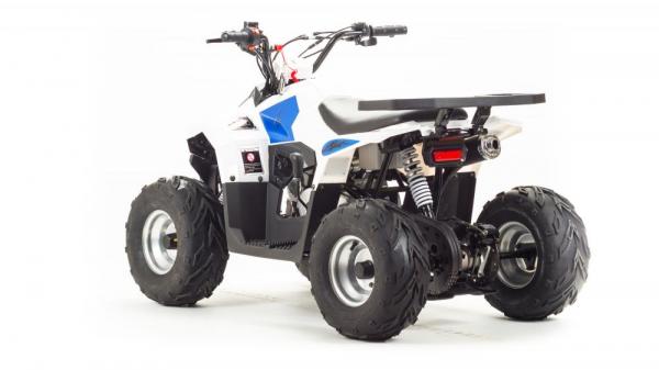 Квадроцикл Motoland 110 EAGLE