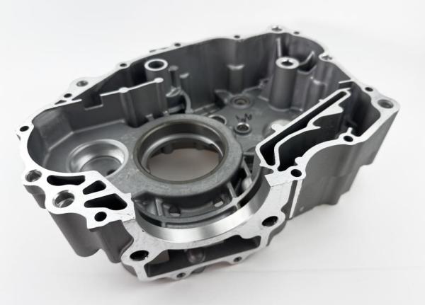 Картер левый LX176MN YBS300