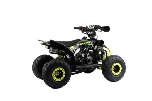 Квадроцикл Motoland 110 RAPTOR