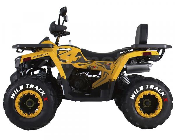 Квадроцикл MOTOLAND 200 WILD TRACK X (балансирный вал)